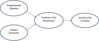 Impacts of Entrepreneurial Openness and Creativity on Company Growth